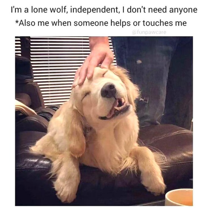 Meme by gargoyle