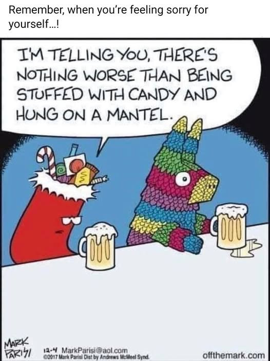 Remember, when you're feeling sorry for yourself... IM TELLING YOU, THERE'S NOTHING WORSE THAN BEING STUFFED WITH CANDY AND HUNG ON A MANTEL. MARK PARITI 13-4 MarkParisi@aol.com 02017 Mark Parisi Dist by Andrews MeMeel Sind. offthemark.com