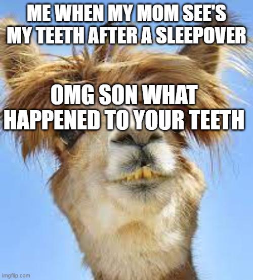Meme by memelover