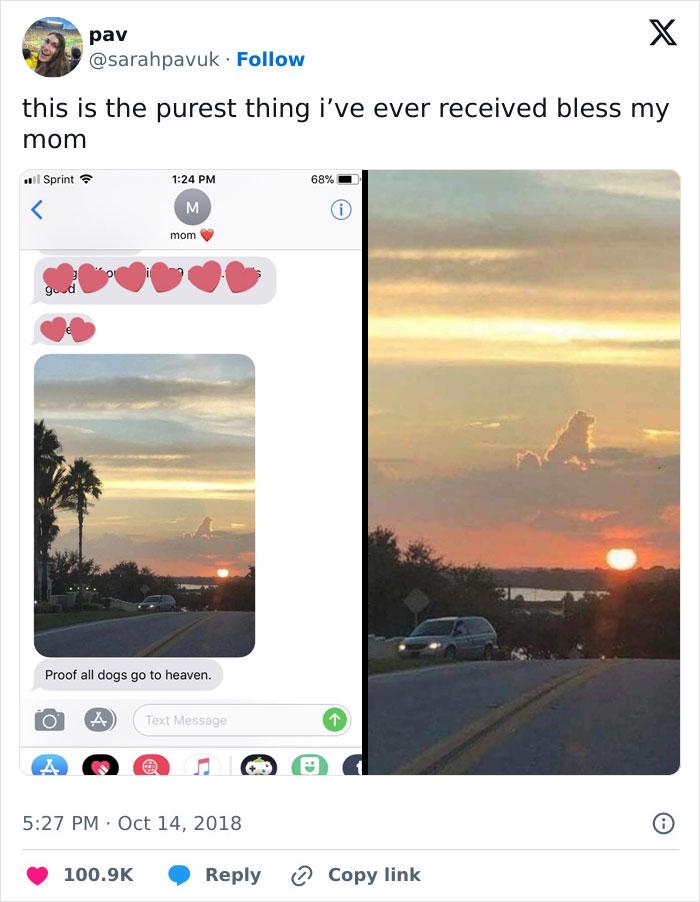 Meme by wholesomedoggos
