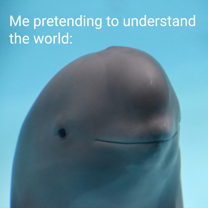 Meme by cheesesausage