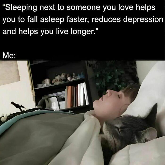 Meme by catsoncatnip