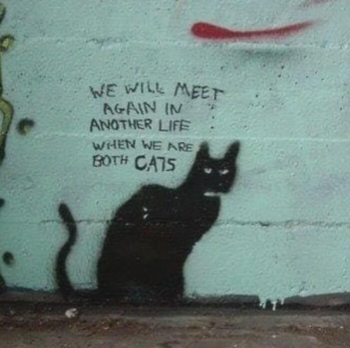 WE WILL MEEr AGAIN IN ANOTHER LIFE WHEN ARE BOT# CATS