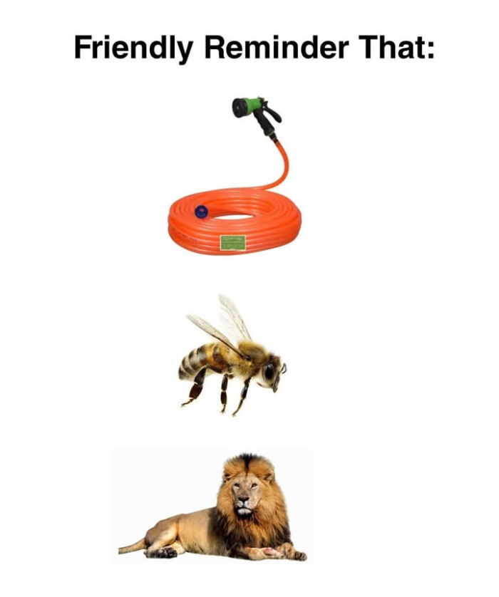 Friendly Reminder That: