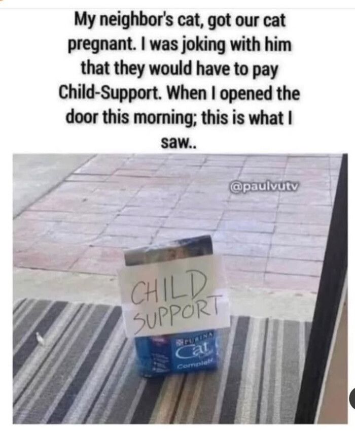 got our cat pregnant. I was joking with him that they would have to pay Child-Support. When opened the door this morning; is what saw.. CHILD. SUPPORT SCULINA