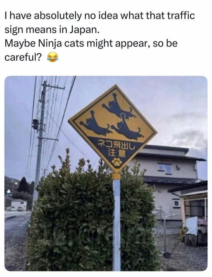 I have absolutely no idea what that traffic sign means in Japan. Maybe Ninja cats might appear, so be careful? @ RARHU