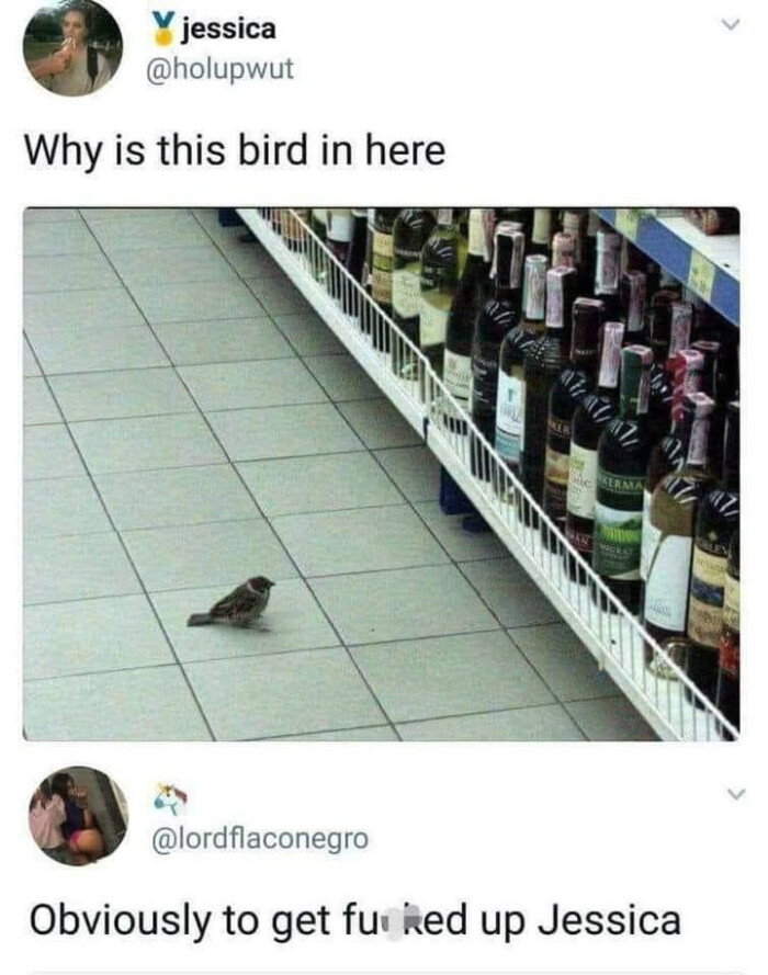 jessica Why is this bird in here Obviously to get fur Red up Jessica