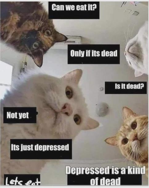 Meme by classic80smusicmemes