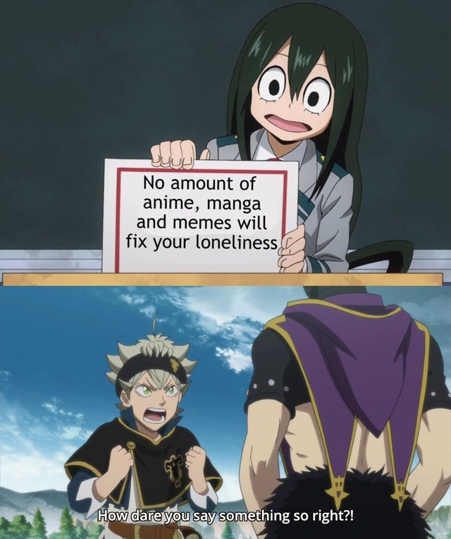 No amount of anime, manga and memes will fix your loneliness How dare you say something so right?!