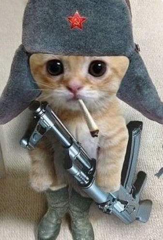 Meme by catsoncatnip
