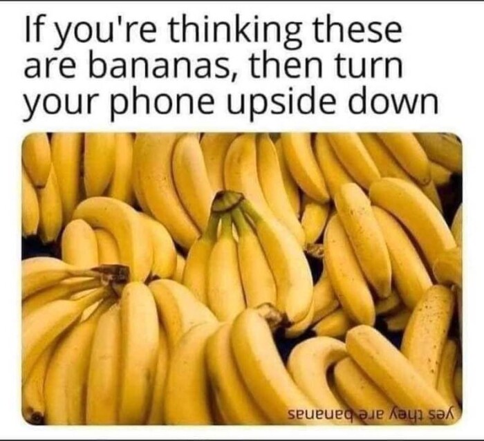 Meme by herinterests