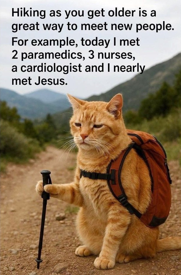Hiking as you get older is a great way to meet new people. For example, today I met 2 paramedics, 3 nurses, cardiologist and nearly Jesus.