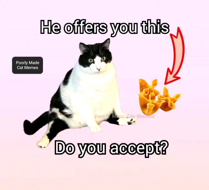 Meme by disneymemes