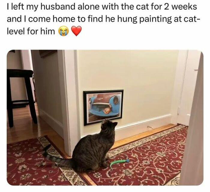 Meme by catsoncatnip