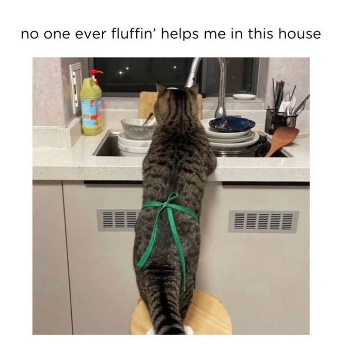 no one ever fluffin' helps me in this house