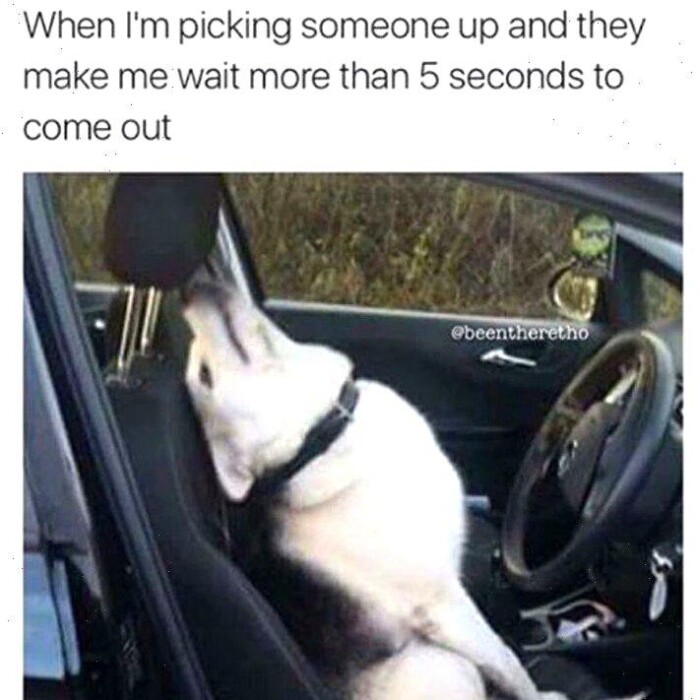 Meme by pupperdoggo