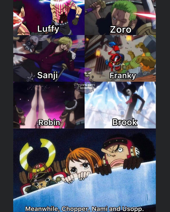 Luffy Zoro Sanji Franky Preten Robin Brook Meanwhile. Chopper. Nami and Usopp.