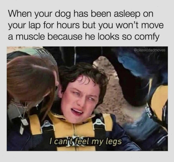Meme by doge