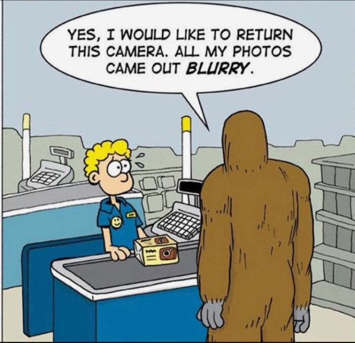 YES, I WOULD LIKE TO RETURN THIS CAMERA. ALL MY PHOTOS CAME OUT BLURRY.