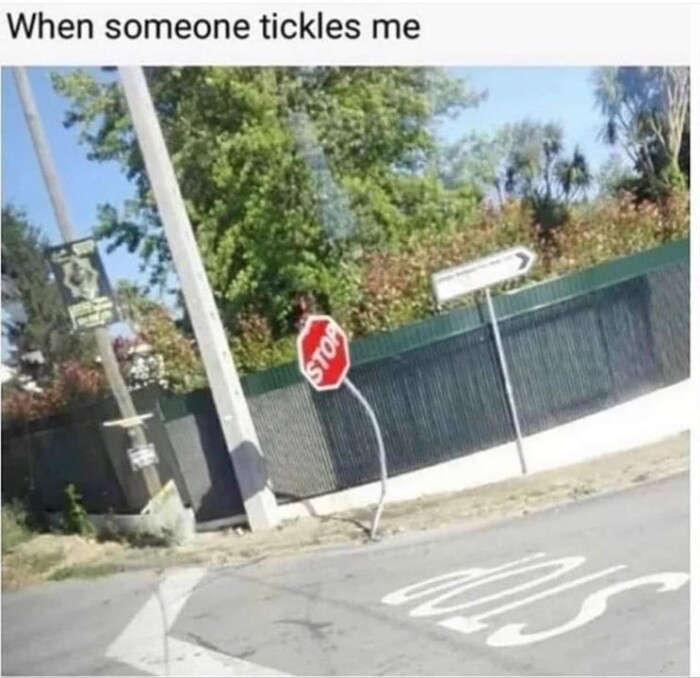 Meme by theworstoftumblr