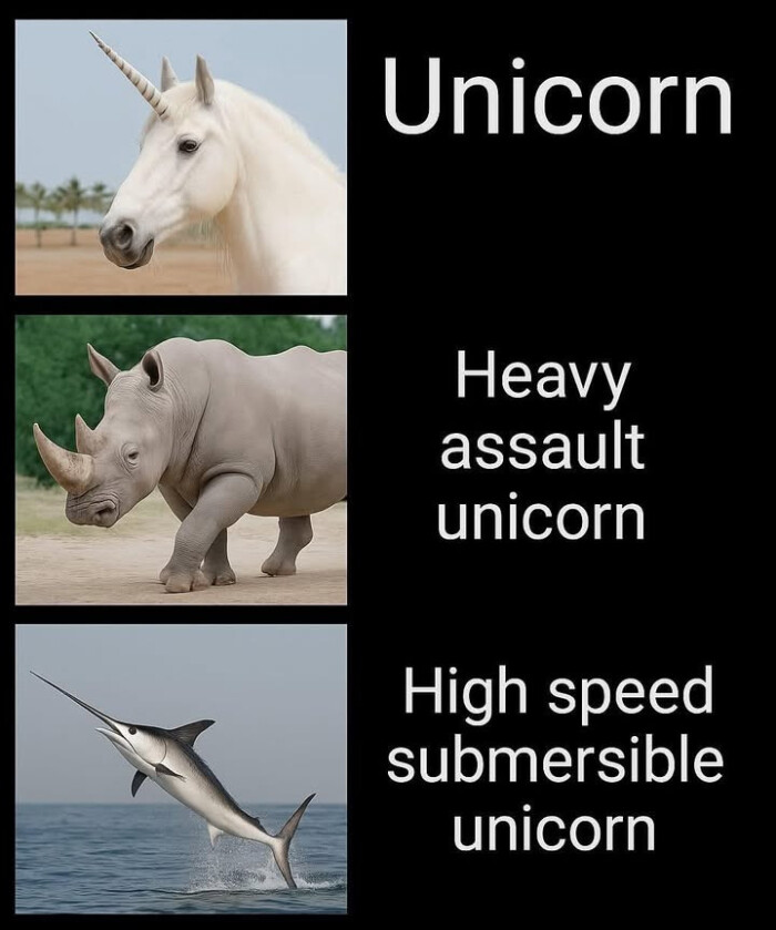 Unicorn Heavy unicorn High speed submersible