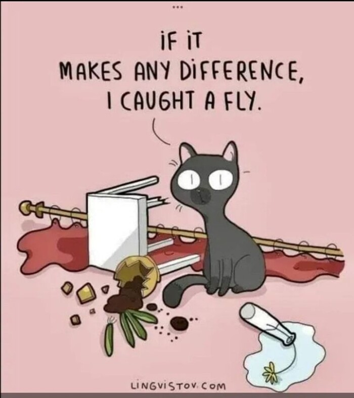 iF iT MAKES ANY DiFFERENCE, I CAUGHT A FLY. LINGUISTOV.CoM