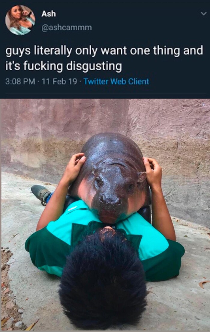 Meme by cheesesausage