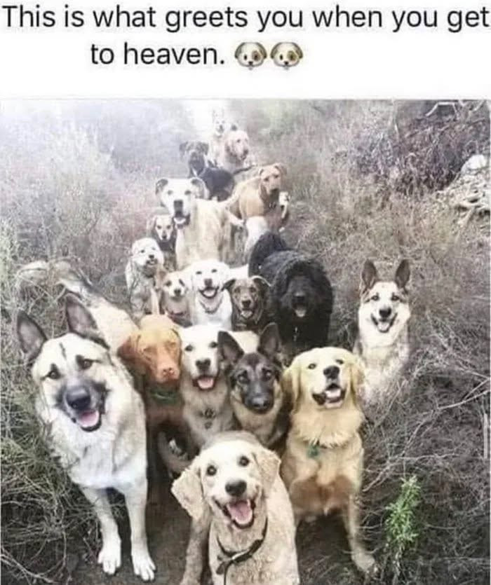 This is what greets you when get to heaven.