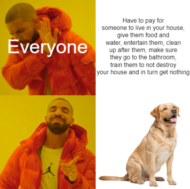 Meme by cheesesausage
