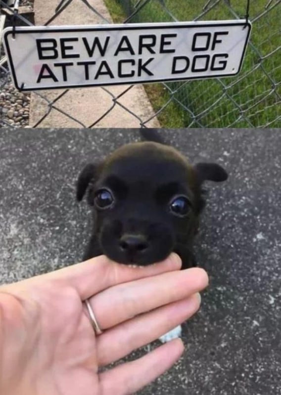 BEWAREBE ATTACK