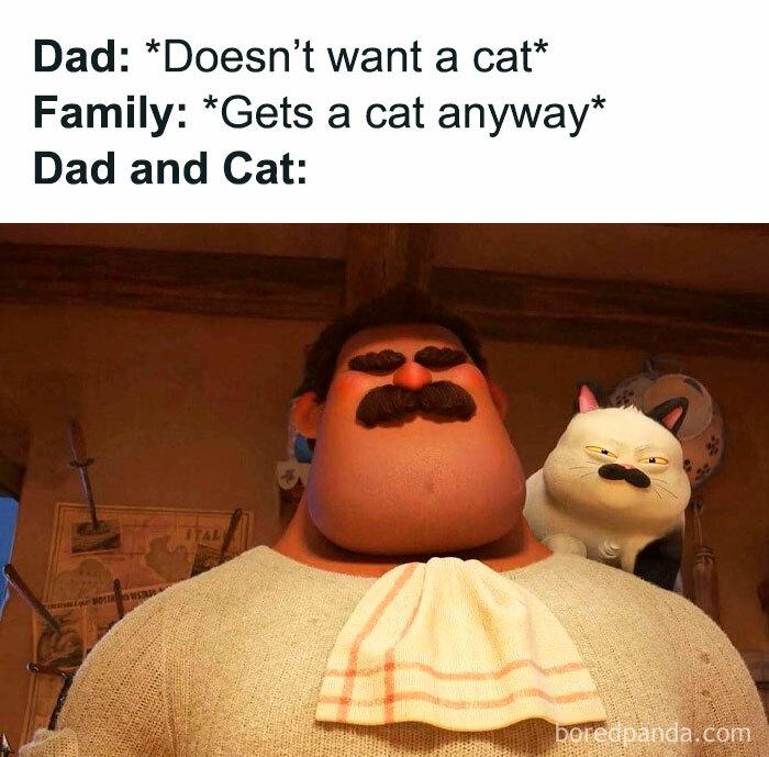 Meme by postyourcats