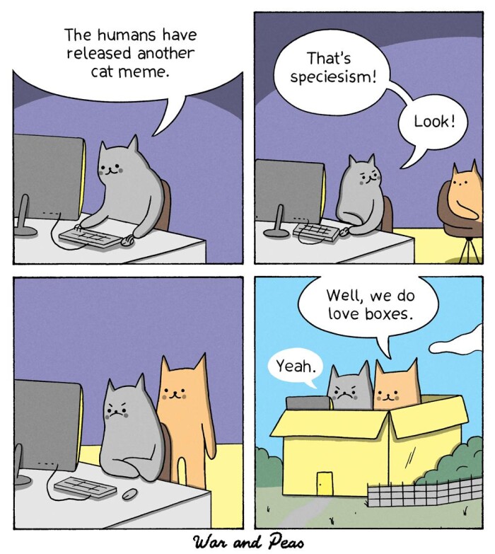 The humans have released another cat meme. That's speciesism! Look! Well, we do love boxes. Yeah. War and Peas