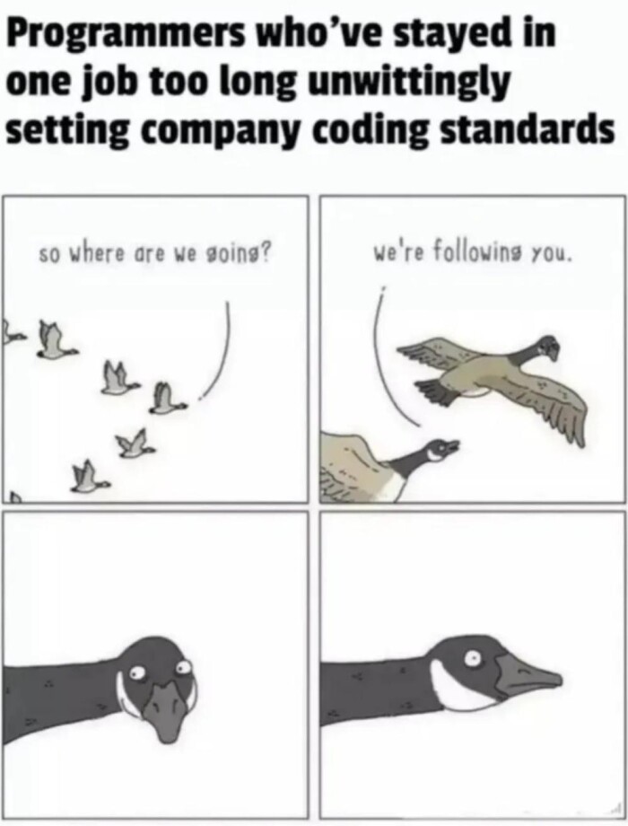 Programmers who've stayed in one job too long unwittingly setting company coding standards so where are we going? we're following you.