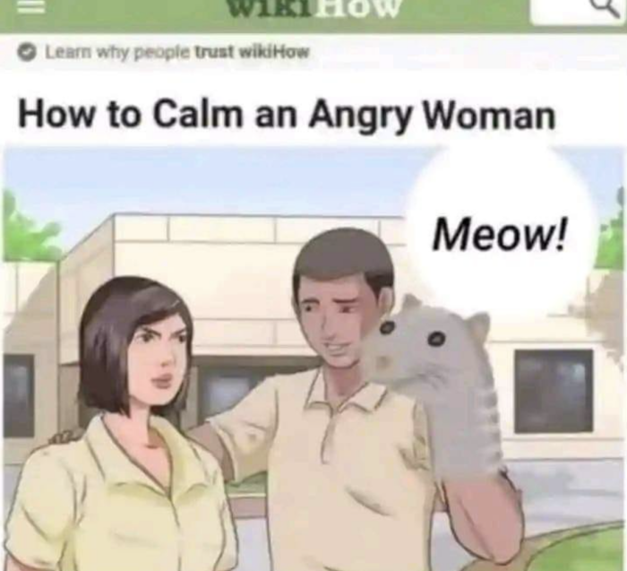 Meme by postyourcats