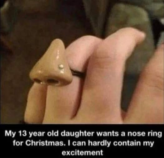 My 13 year old daughter wants a nose ring for Christmas. I can hardly contain my excitement