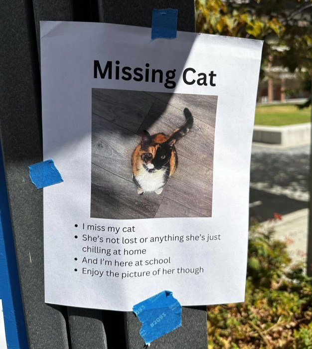 Missing Cat I miss my cat She's not lost or anything she's just chilling at home And I'm here school Enjoy the picture of her though