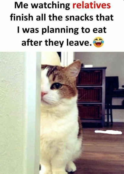 Me watching relatives finish all the snacks that was planning to eat after they leave.