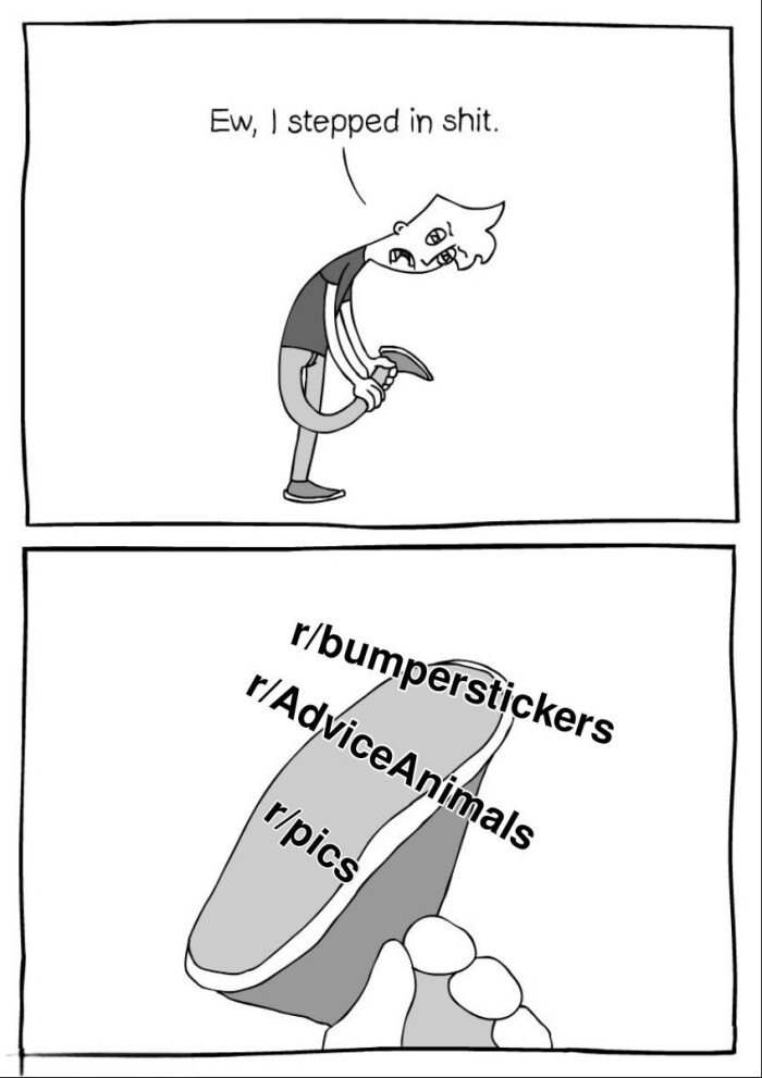 Ew, I stepped in . r/bumperstickers r/AdviceAnimals r/pics
