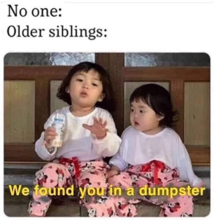 No one: Older siblings: We found you a dumpster