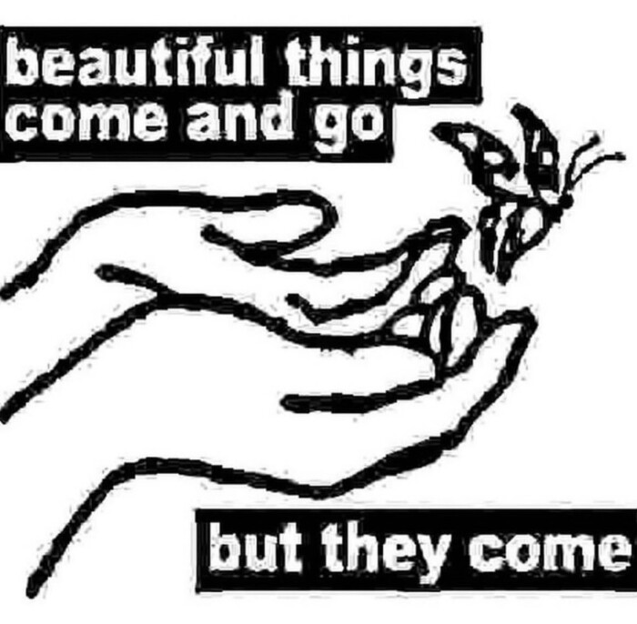 beautiful things come and go but they