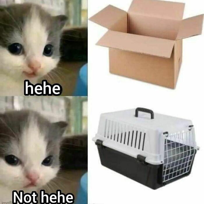 Meme by disneymemes