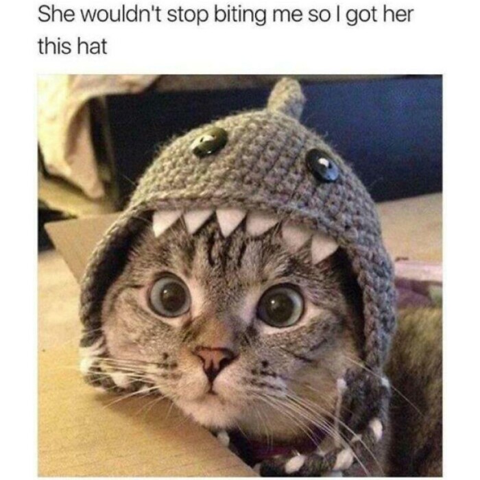 Meme by gargoyle