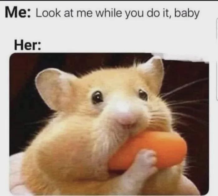 Meme by planted99