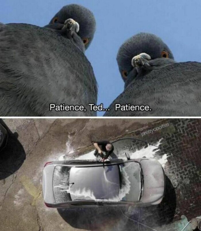 prettyccoltim