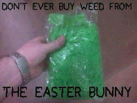 DON'T EVER BUY WEED FROM THE EASTER BUNNY