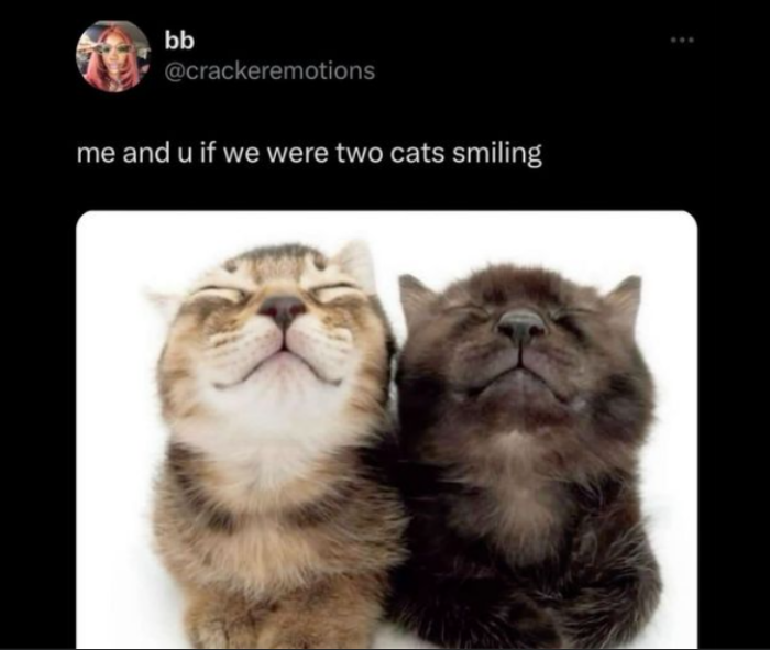 bb @crackeremotions me and u if we were two cats smiling