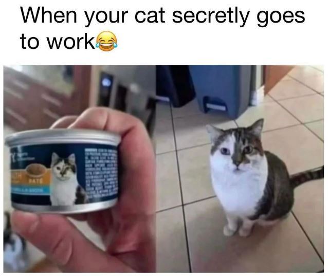 Meme by disneymemes