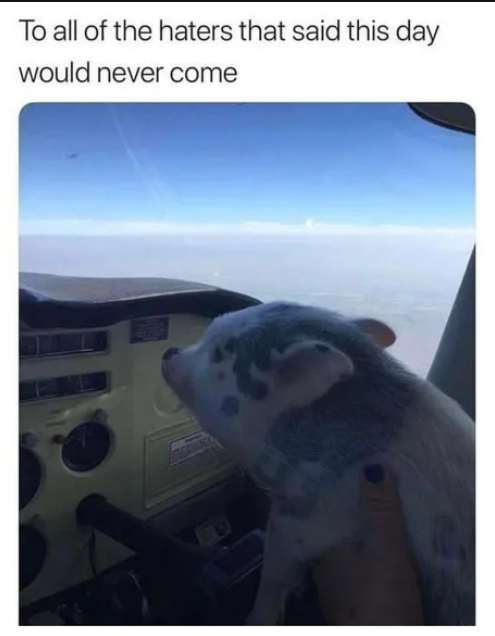 Meme by straya