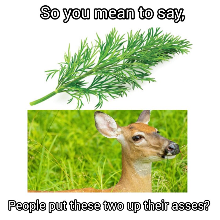Meme by disneymemes